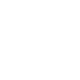 Secure Payment Icon